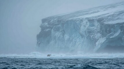 Arctic landscape featuring a lone animal on icy terrain.