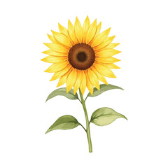 Naklejka premium watercolor sunflower with leaves
