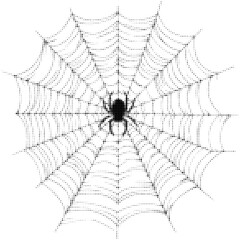 Fototapeta premium Spider resting in symmetrical cobweb pattern with dot style design