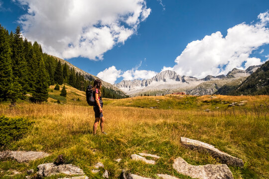 A woman with a backpack stands in a golden meadow, gazing at the mountains under a blue sky with fluffy clouds. Val di Fumo, Chiese river, Carr&egrave; Alto, Trentino.
