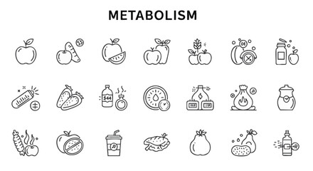 Line icons illustrating various foods and supplements related to metabolism.