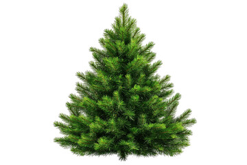 Fototapeta premium Fluffy green christmas tree isolated on transparent background