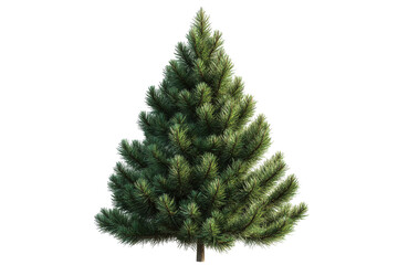 Fluffy green christmas tree isolated on transparent background