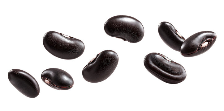 Flying black beans, black seeds, or pods for design elements and texture in a product packaging template isolated on a transparent background