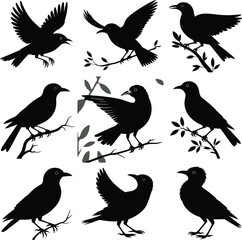 Collection of flying and perched bird silhouettes on branches, black crow vector illustrations for nature, wildlife, decoration, and design projects