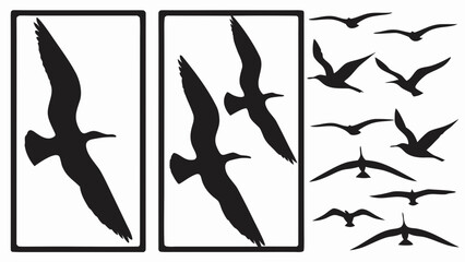 Silhouette illustrations of birds in flight and within framed rectangular borders on white background
