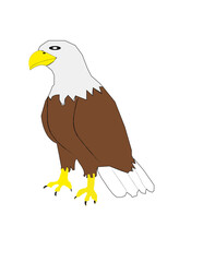 eagle