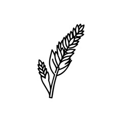 Detailed Black and White Illustration of Wheat Stalks and Leaves.