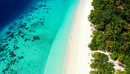 Aerial beach turquoise ocean paradise island
