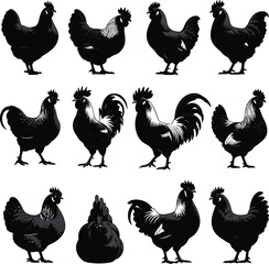 Silhouette Collection of Chickens and Roosters, Farm Birds Set, Poultry Animals Illustration, Black and White Clipart for Design

