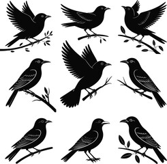 Silhouette set of black birds on branches, flying and perching, vector illustration perfect for nature, wildlife, and decorative design