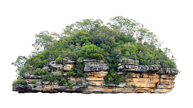 A small, rocky island covered with lush green trees and vegetation, isolated on a white background.