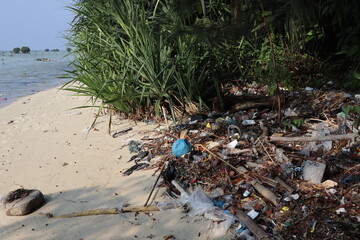 polluted sandy beach, showing a substantial amount of mixed garbage and natural debris accumulated along the edge of dense green coastal vegetation