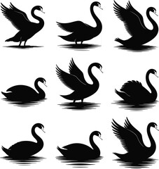 Swan silhouette grid, black bird poses, elegant waterfowl design, wing spread variations, graceful animal vector, swimming standing flapping swans