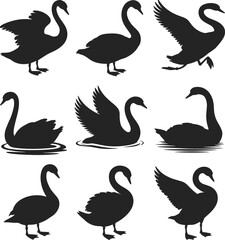 Swan silhouette grid, black bird poses, flying swimming standing swans, elegant waterfowl design, wing spread variations, animal vector artwork
