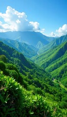 Sweeping vista of Navala, Fiji's rolling hills and lush valley , scenery, panoramic, landscape