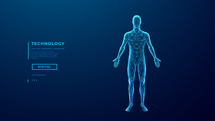 Abstract human body. Wireframe polygonal man silhouette on technology blue background. 3D human figure made of thin lines and connected dots. Medical and Anatomy concept. Digital vector illustration.