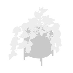 A potted plant with lush leaves sits on a white table, its symmetrical foliage creating a striking silhouette. The vibrant green leaves contrast beautifully against the neutral background.