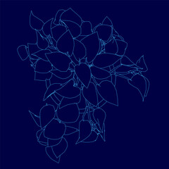 A blue potted flower with intricate contour lines stands out against a dark blue background. The striking color contrast highlights the delicate details of the petals.