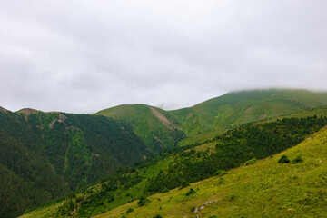 Fototapeta premium Landscape of the mountains with forest and overcast sky