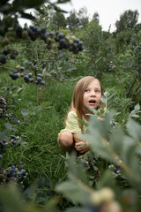 the child looks up in surprise, surrounded by bushes of greenery
