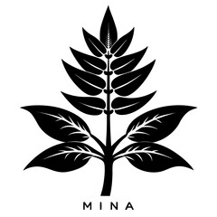 mina- lobata flower silhouette vector on white background