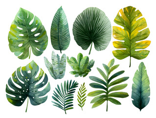 Fototapeta premium Vibrant watercolor tropical leaves collection evoking lush nature and exotic botanical beauty for design projects