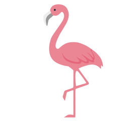 Flat Vector Pink Flamingo