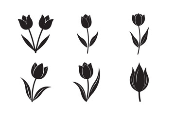 silhouette blooming tulip flower facing upward set bundle on the white background