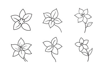 line art jasmine flower with pointed petals set bundle on the white background