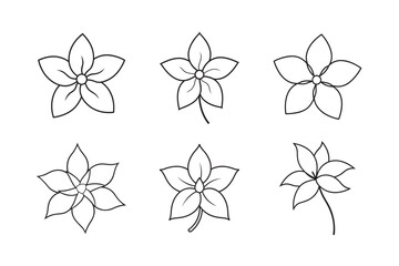 Fototapeta premium line art jasmine flower with pointed petals set bundle on the white background