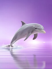 Obraz premium A silver dolphin is flying in the air