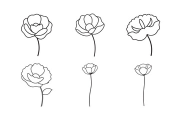 line art orchid flower with wide petals set bundle on the white background