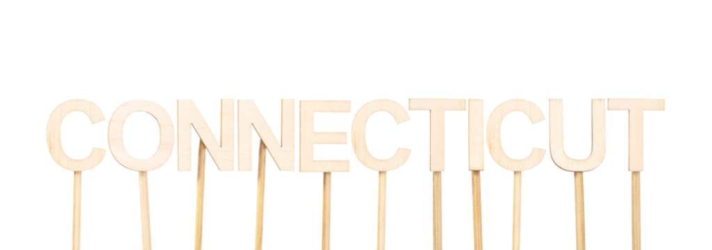 The name of the state of Connecticut in individual light wood letters, clean and handcrafted style for teaching materials, scrapbooking, or map-themed decoration
