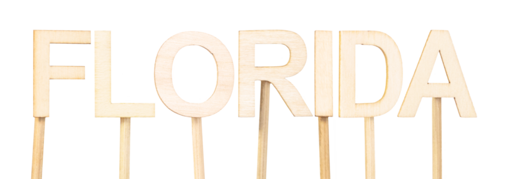 Word Florida formed with wooden letters on a white background, rustic decorative design ideal for tourism, geography, or themed school art content