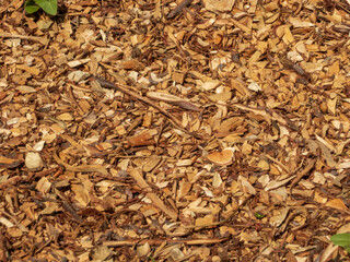 A Close-up View of Brown and Gold Mulch