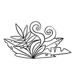 Plant with large leaves line flat