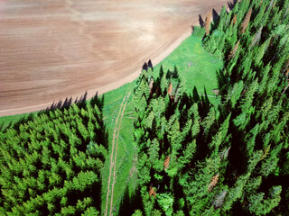 Aerial top view landscape with green fields and forest on spring sunny day