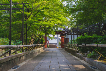乙訓寺、自然豊かなお寺の風景、京都、日本