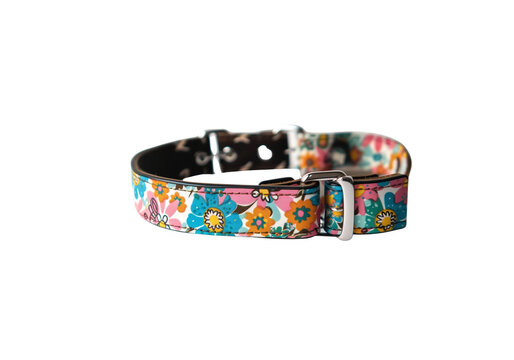 cute dog collar with name tag, colorful pattern, centered produc
