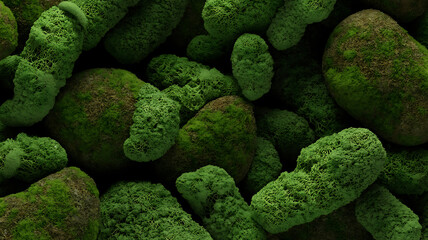 Dense green moss covers rocks, a natural, textured surface.
