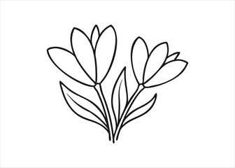 A detailed hand drawn sketch in black and white featuring a singular artistic element presented isolated on white background