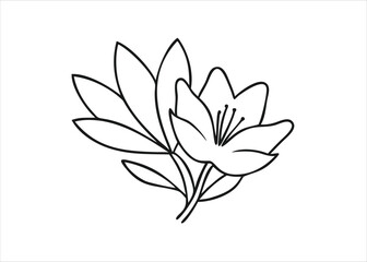 Artistic hand drawn black and white sketch illustration of a single subject with intricate details and shading isolated on white background