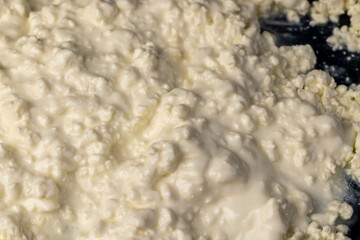 grained cottage cheese made from white milk with sour cream, sprinkled with liquid sour cream
