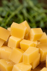 cheese and natural bee honey, sweet honey and sliced milk cheese