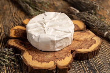 cheese covered with mold on the table, round processed cheese in white edible mold, close up