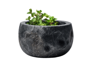Dark gray stone bowl filled with small green herbs
