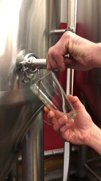 Craft Beer Production. The Moment of Tasting the Beer Directly from the Fermentation Tank. Milano, Italy