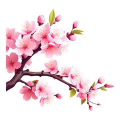 Fototapeta premium Delicate pink cherry blossoms on a branch, vibrant and detailed.