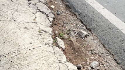 ant on the ground. stone wall texture. walking on the street. pedestrian crossing the road. asphalt road with a crack. asphalt road texture. asphalt road detail